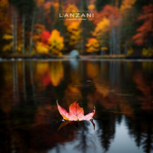 Onoranze Funebri LANZANI - Lutto non riconosciuto