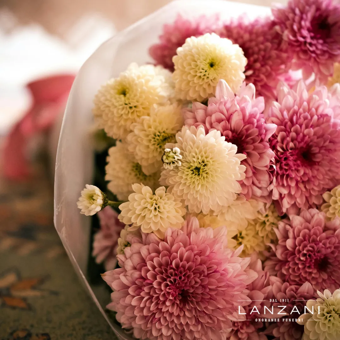 ONORANZE FUNEBRI LANZANI - CRISANTEMI Mazzo di crisantemi rosa e bianchi